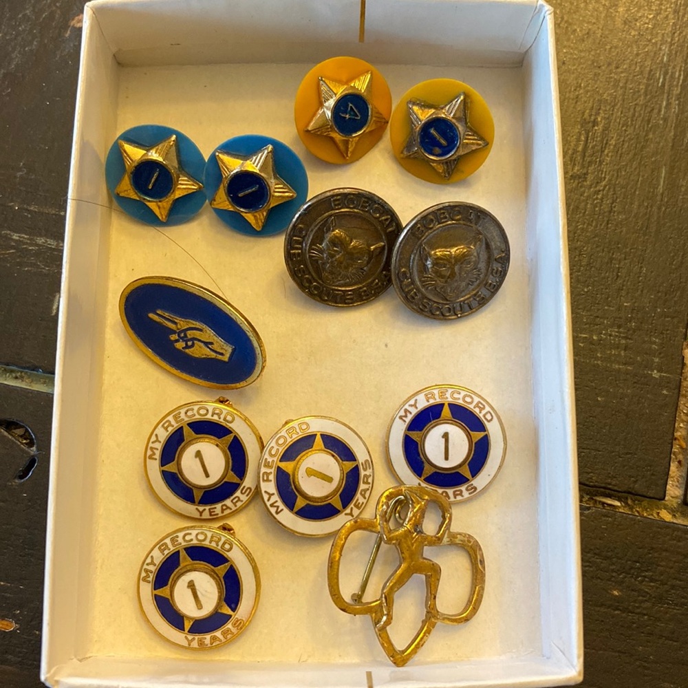 Vintage lot of boy/Girl Scout pins